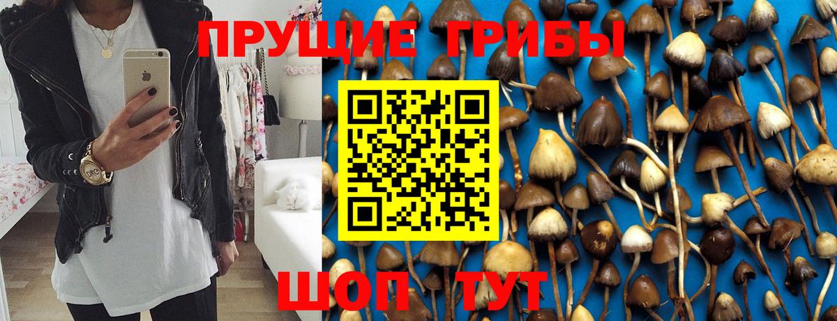 Псилоцибиновые грибы Magic Shrooms  Вход с VPN  Псилоцибиновые грибы MAGIC MUSHROOMS  Полевской 